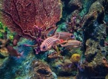 IMG_6354