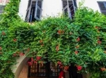 20130816-IMG_5264