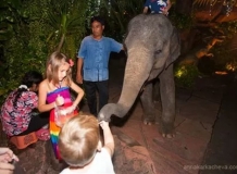 Дети и слоненок на входе в Дино Парк