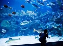 Aquaria в Куала Лумпуре