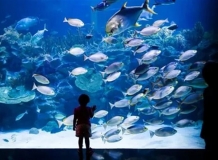 Aquaria в Куала Лумпуре