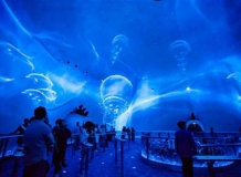 Шоу \"Dragon\'s Treasure\"