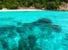 IMG_0052JUL