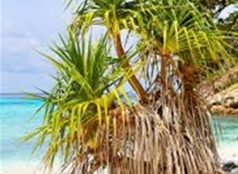 IMG_0072JUL